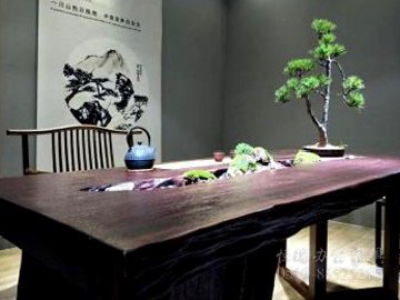 洞庭烹茶局部图001