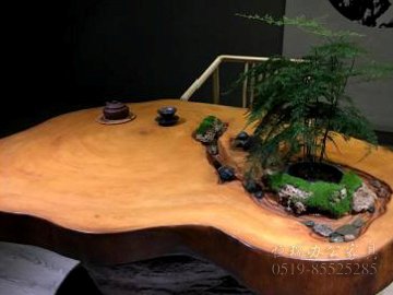 蒙顶问茶局部图002